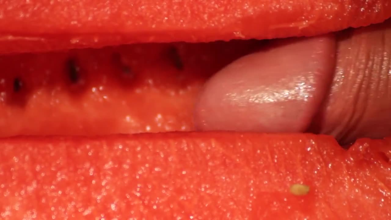 fucking Gay melon